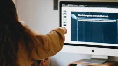 Python homework help