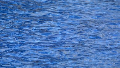 5 Reasons Why You're Bloated After Swimming