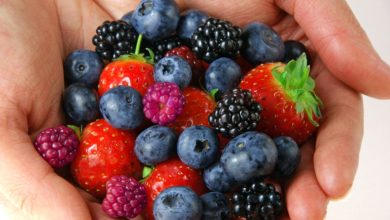 Why Are Antioxidants So Important for us?
