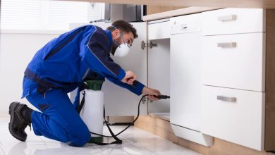 Fumigation Pest Control Services