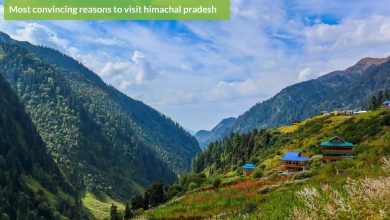 best things to do in Himachal Pradesh