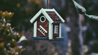 real estate Gotha