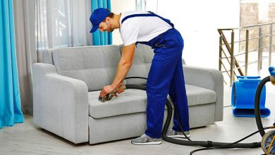 sofa cleaning