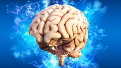 cognitive abilities