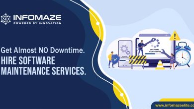 Software Maintenance and Support