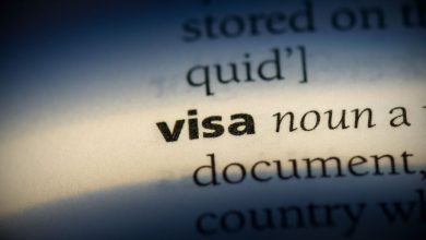 Pro Visa Services
