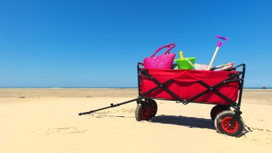 Best Beach Cart For Soft Sand