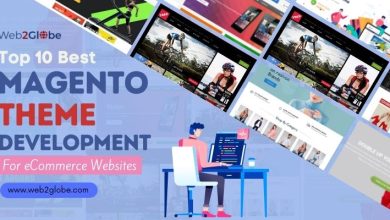 10 Ecommerce Magento Themes