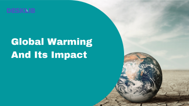 Global Warming And Its Impact