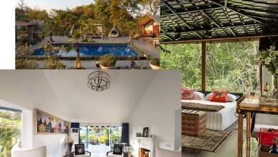 tree house for couples