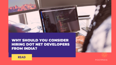 why should you consider hiring dot net developers from india