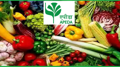 What documents and other registrations are required for APEDA registration?