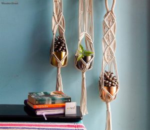 wall hanging pots for plants
