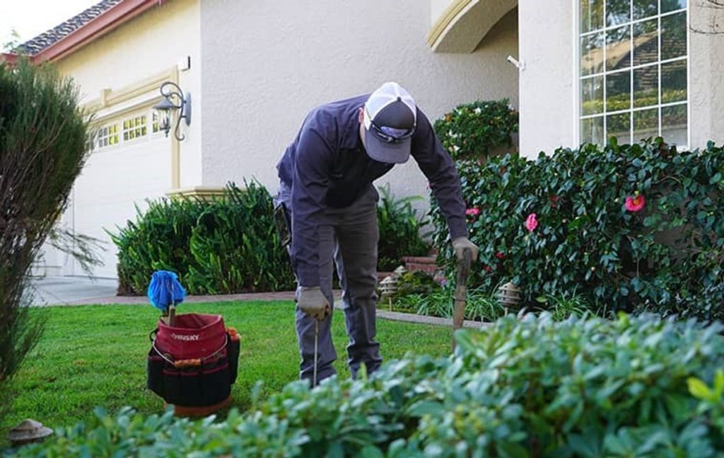 Get to know about the safe gopher removal process!