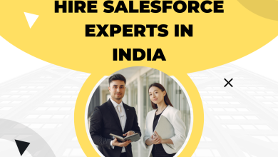 Salesforce Consultant