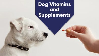 pet vitamins and supplements