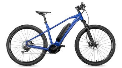 Electric Hybrid Bikes