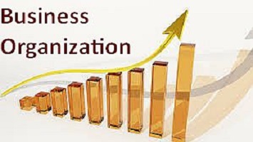 7 Types of Business Organizations