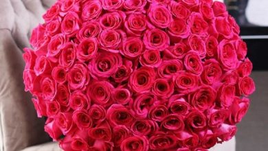Flowers Bouquet