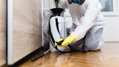 cleaning-services