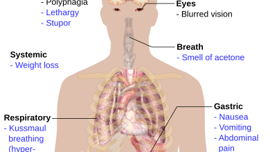 Human internal body