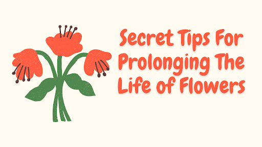 When it comes to flowers, there are many things you should be careful about. Learn what they are by reading tips for extending their life from Shlomo Yoshai!