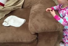How to remove pen stains from sofa
