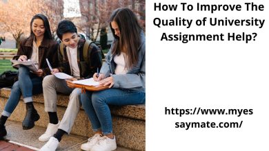 university assignment help